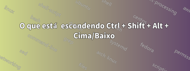 O que está escondendo Ctrl + Shift + Alt + Cima/Baixo