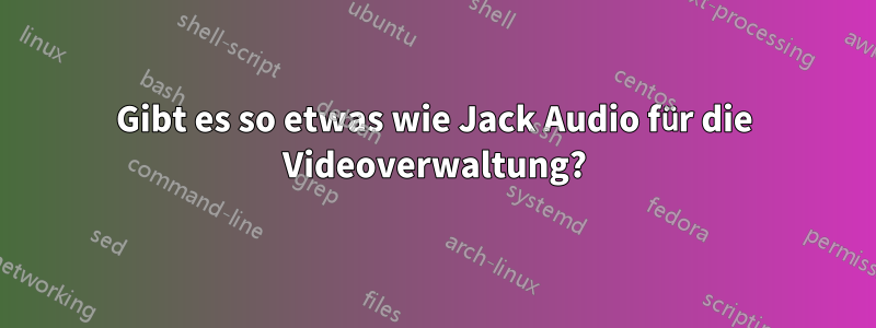 Gibt es so etwas wie Jack Audio für die Videoverwaltung?