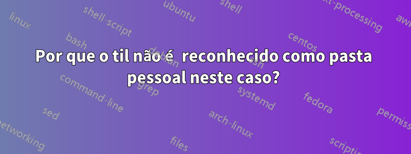 Por que o til não é reconhecido como pasta pessoal neste caso?