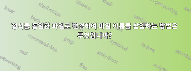 형식을 동일한 파일로 변경하여 파일 이름을 삽입하는 방법은 무엇입니까?