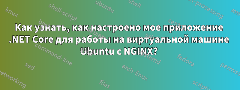 Как узнать, как настроено мое приложение .NET Core для работы на виртуальной машине Ubuntu с NGINX?