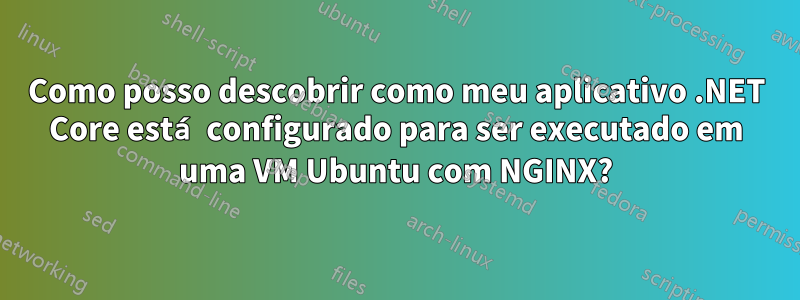 Como posso descobrir como meu aplicativo .NET Core está configurado para ser executado em uma VM Ubuntu com NGINX?