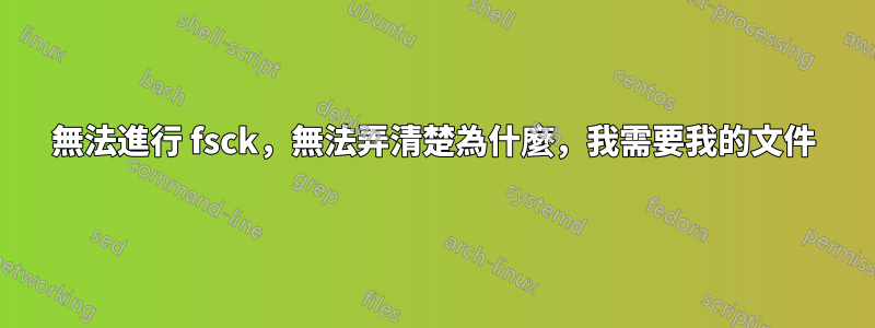 無法進行 fsck，無法弄清楚為什麼，我需要我的文件