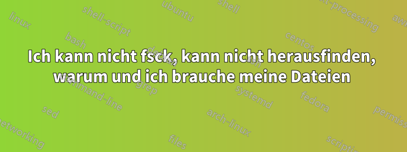 Ich kann nicht fsck, kann nicht herausfinden, warum und ich brauche meine Dateien