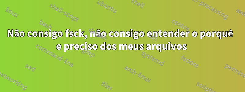 Não consigo fsck, não consigo entender o porquê e preciso dos meus arquivos