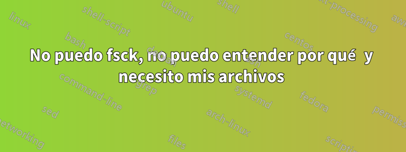 No puedo fsck, no puedo entender por qué y necesito mis archivos