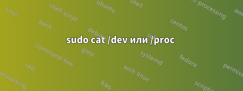 sudo cat /dev или /proc