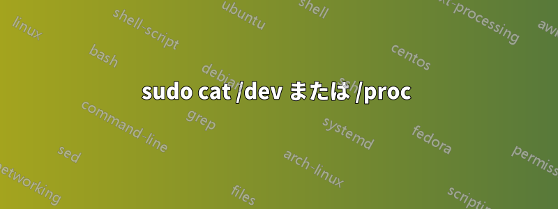 sudo cat /dev または /proc