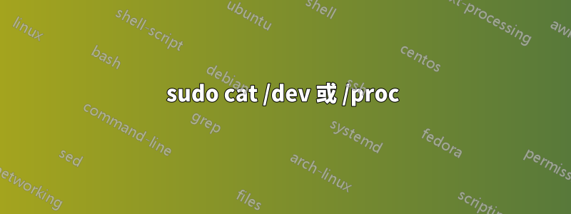 sudo cat /dev 或 /proc