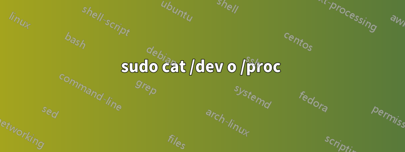 sudo cat /dev o /proc