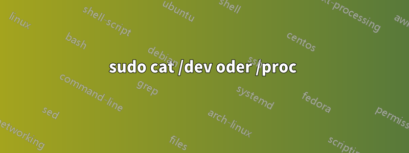 sudo cat /dev oder /proc