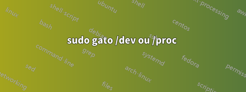 sudo gato /dev ou /proc