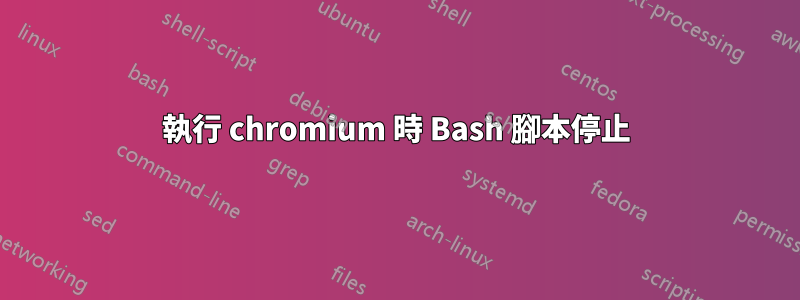 執行 chromium 時 Bash 腳本停止