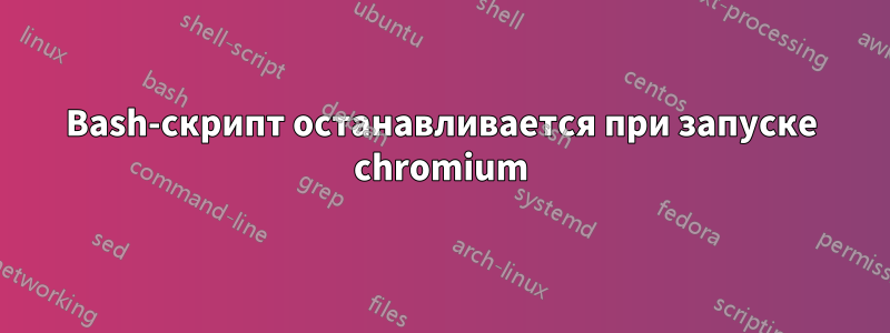 Bash-скрипт останавливается при запуске chromium