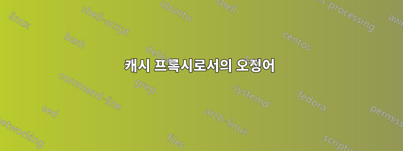 캐시 프록시로서의 오징어