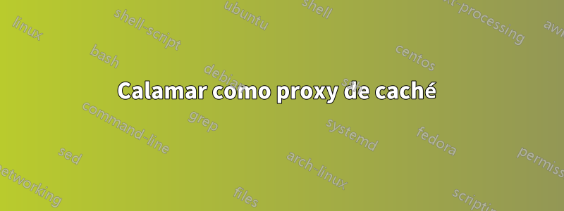 Calamar como proxy de caché