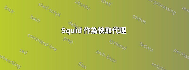 Squid 作為快取代理