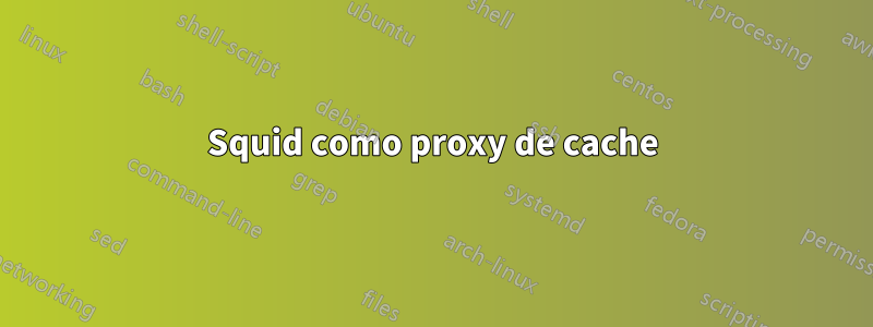 Squid como proxy de cache