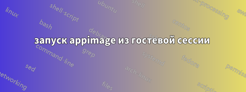 запуск appimage из гостевой сессии