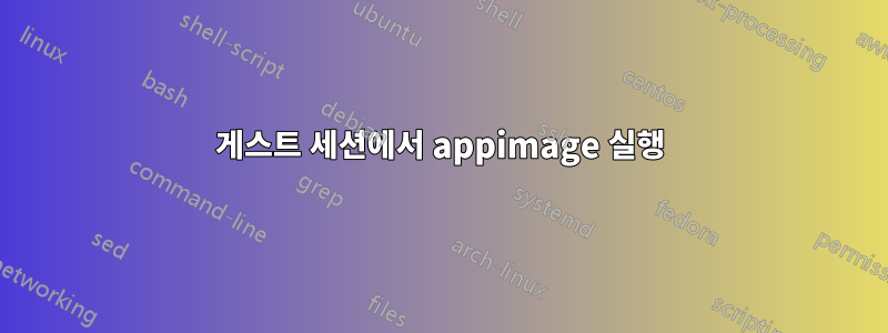 게스트 세션에서 appimage 실행