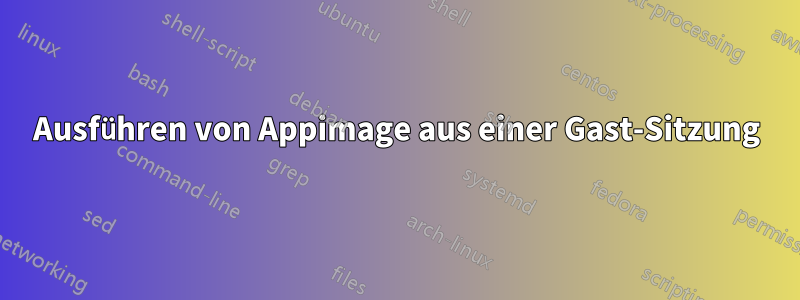 Ausführen von Appimage aus einer Gast-Sitzung