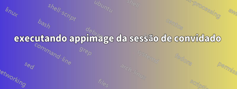 executando appimage da sessão de convidado