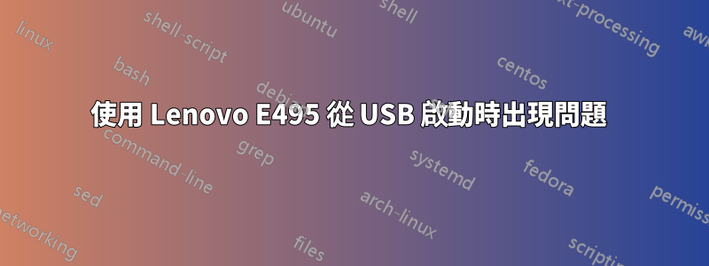 使用 Lenovo E495 從 USB 啟動時出現問題 