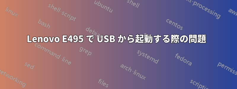 Lenovo E495 で USB から起動する際の問題 