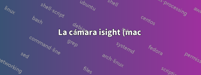 La cámara isight (mac) funciona en Hangouts, no en Skype en 18.04
