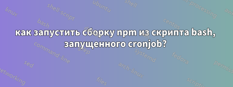 как запустить сборку npm из скрипта bash, запущенного cronjob?