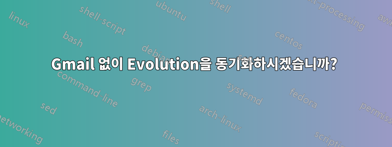 Gmail 없이 Evolution을 동기화하시겠습니까?