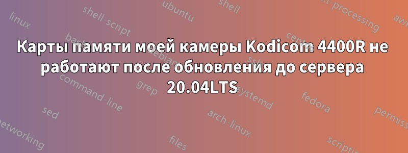 Карты памяти моей камеры Kodicom 4400R не работают после обновления до сервера 20.04LTS