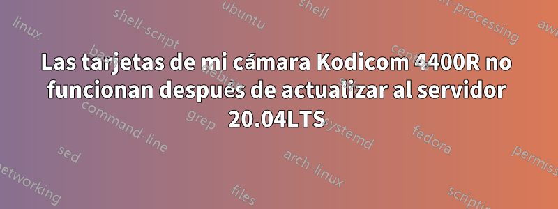 Las tarjetas de mi cámara Kodicom 4400R no funcionan después de actualizar al servidor 20.04LTS