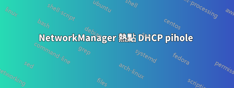 NetworkManager 熱點 DHCP pihole