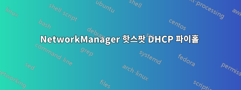NetworkManager 핫스팟 DHCP 파이홀