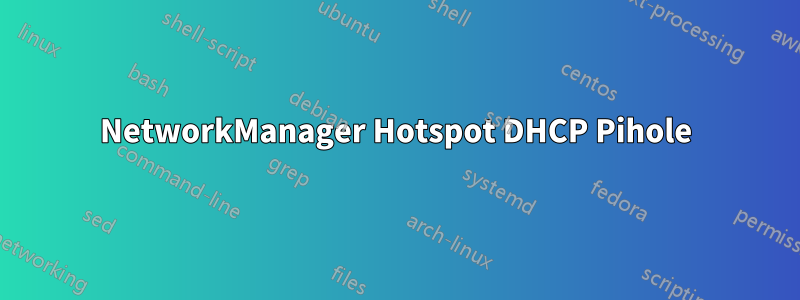 NetworkManager Hotspot DHCP Pihole