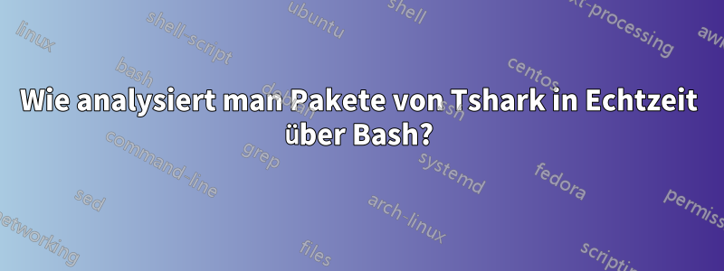 Wie analysiert man Pakete von Tshark in Echtzeit über Bash?