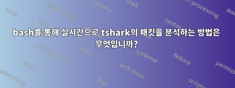 bash를 통해 실시간으로 tshark의 패킷을 분석하는 방법은 무엇입니까?