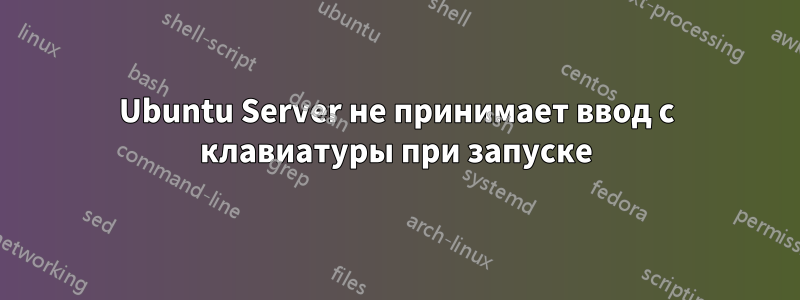 Ubuntu Server не принимает ввод с клавиатуры при запуске
