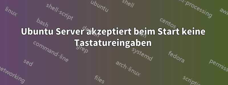 Ubuntu Server akzeptiert beim Start keine Tastatureingaben