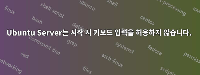 Ubuntu Server는 시작 시 키보드 입력을 허용하지 않습니다.