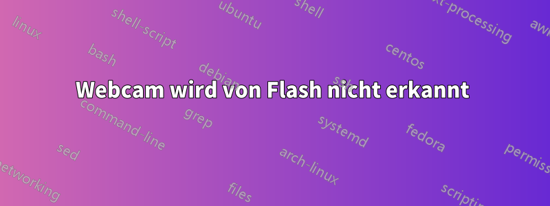 Webcam wird von Flash nicht erkannt