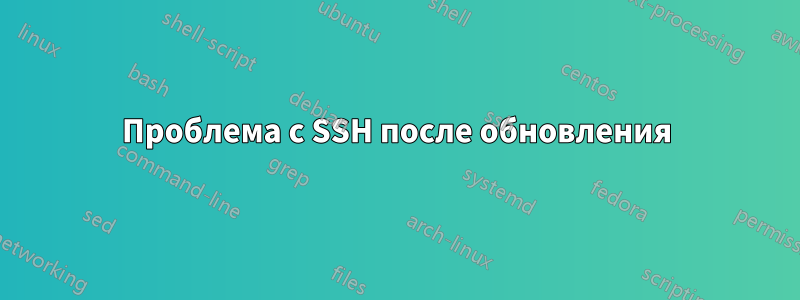 Проблема с SSH после обновления