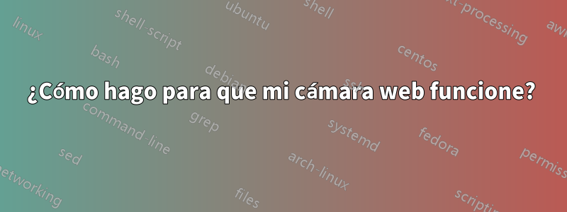 ¿Cómo hago para que mi cámara web funcione?