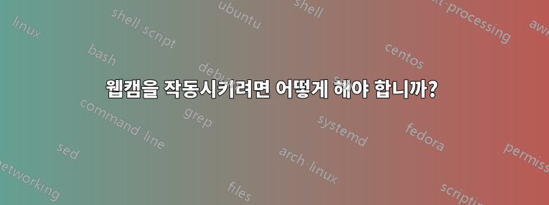 웹캠을 작동시키려면 어떻게 해야 합니까?