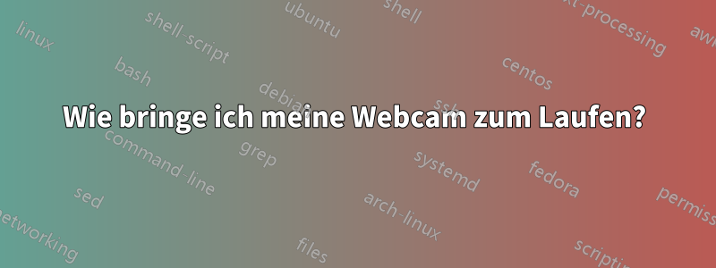 Wie bringe ich meine Webcam zum Laufen?