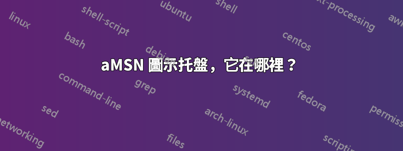 aMSN 圖示托盤，它在哪裡？