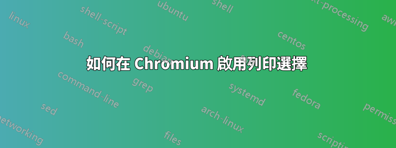 如何在 Chromium 啟用列印選擇