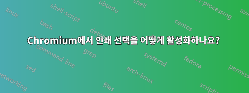 Chromium에서 인쇄 선택을 어떻게 활성화하나요?