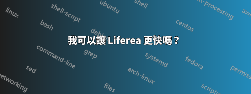 我可以讓 Liferea 更快嗎？